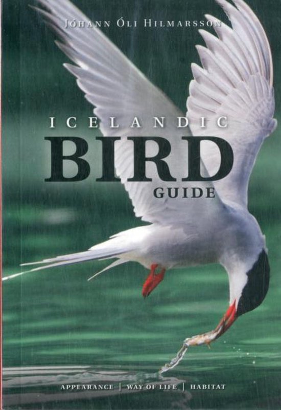 Icelandic Bird Guide: Appearance, Way Of Life, Habitat