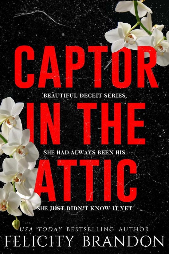 Beautiful Deceit 1 - Captor In The Attic