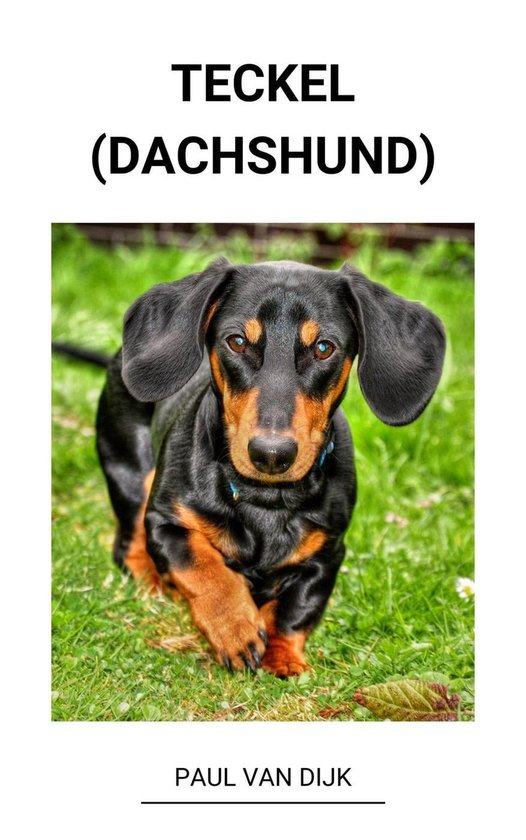 Teckel (dachshund)