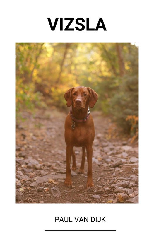 Vizsla