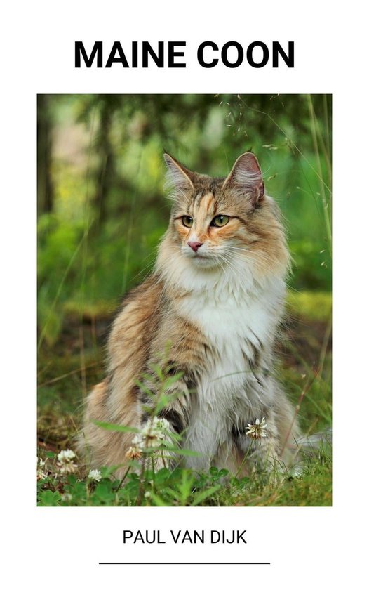 Maine Coon