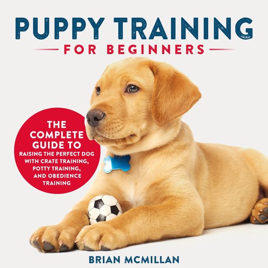 Puppy Training for Beginners