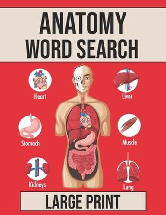 Anatomy Word Search