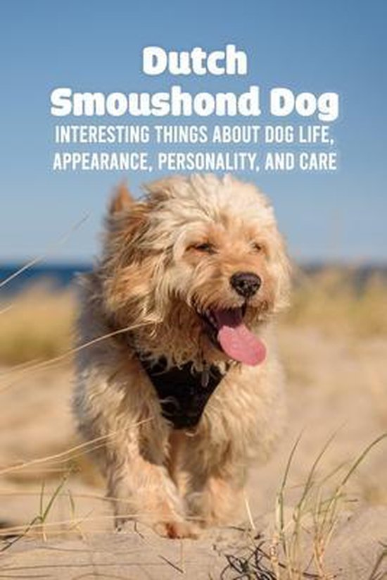 Dutch Smoushond Dog