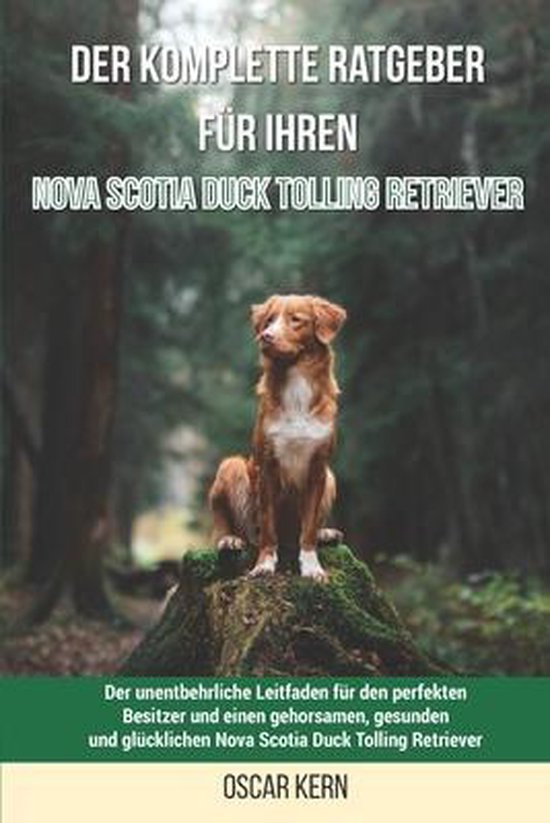 Der komplette Ratgeber für Ihren Nova Scotia Duck Tolling Retriever