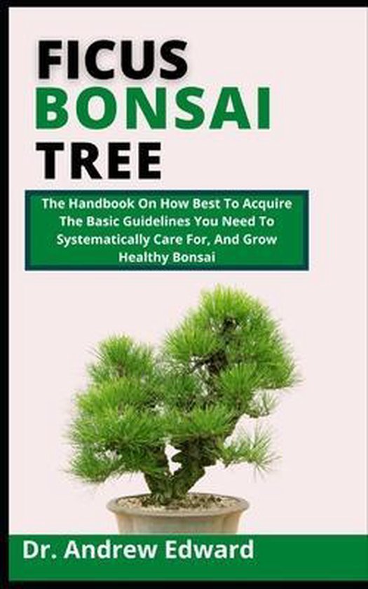 Ficus Bonsai Tree