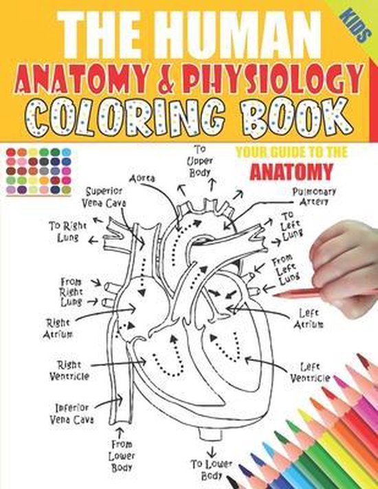 The Human Anatomy and Physiology Coloring Book