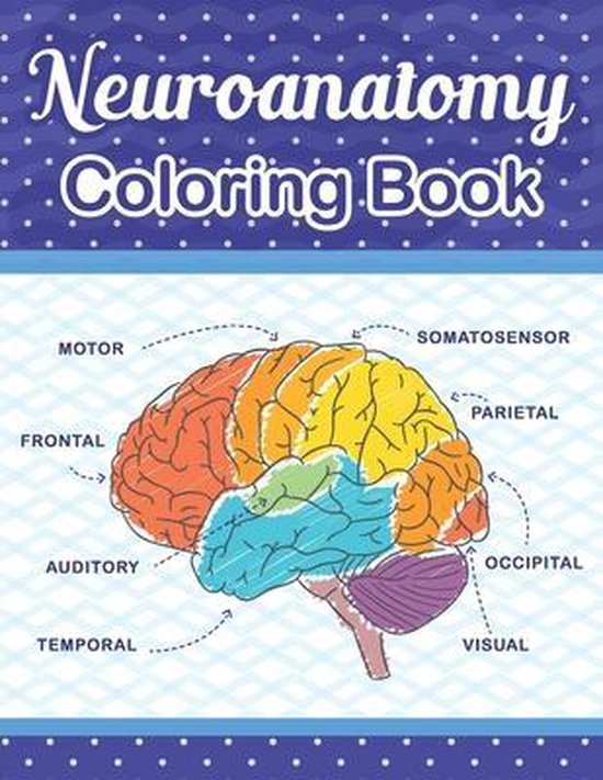 Neuroanatomy Coloring Book