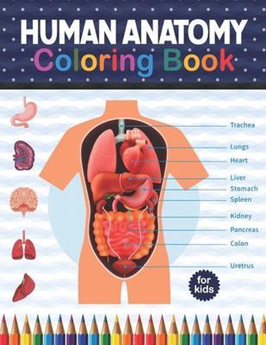 Human Anatomy Coloring Book For Kids