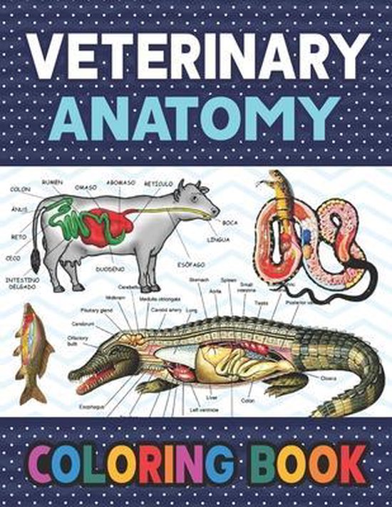 Veterinary Anatomy Coloring Book