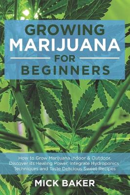 Growing Marijuana for Beginners