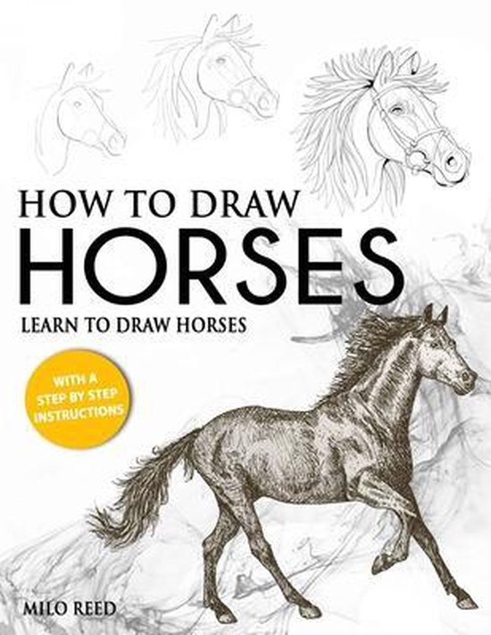 How to Draw Horses