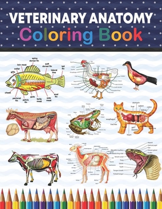 Veterinary Anatomy Coloring Book