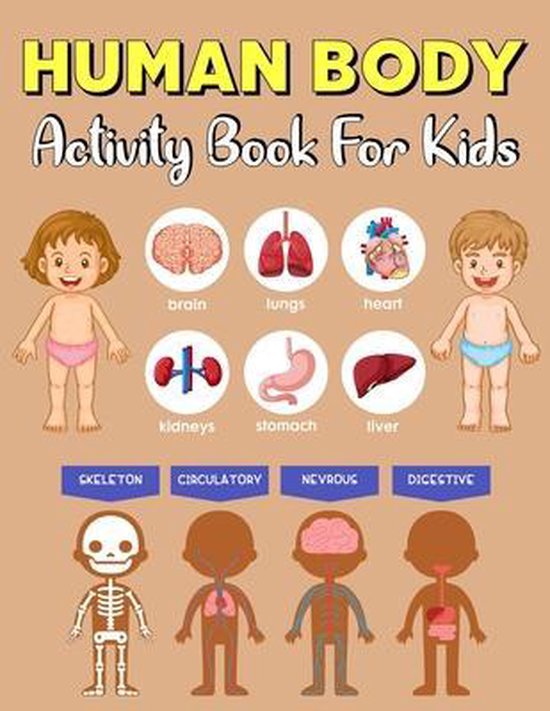 human body activity book for kids