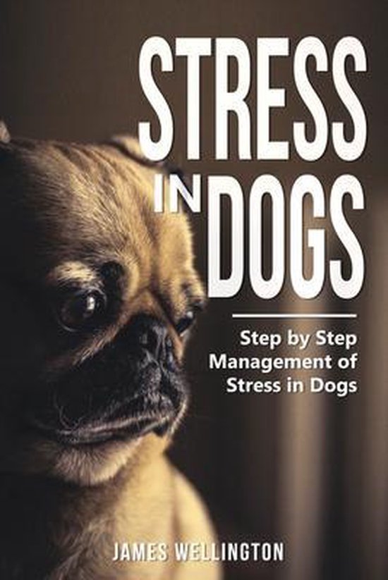 Stress in Dogs