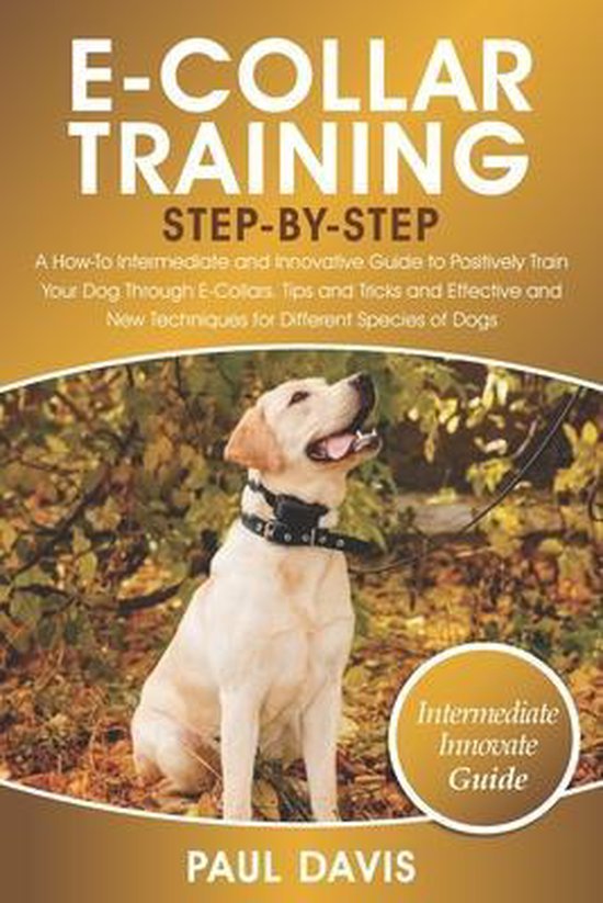 E-Collar Training Step-By-Step