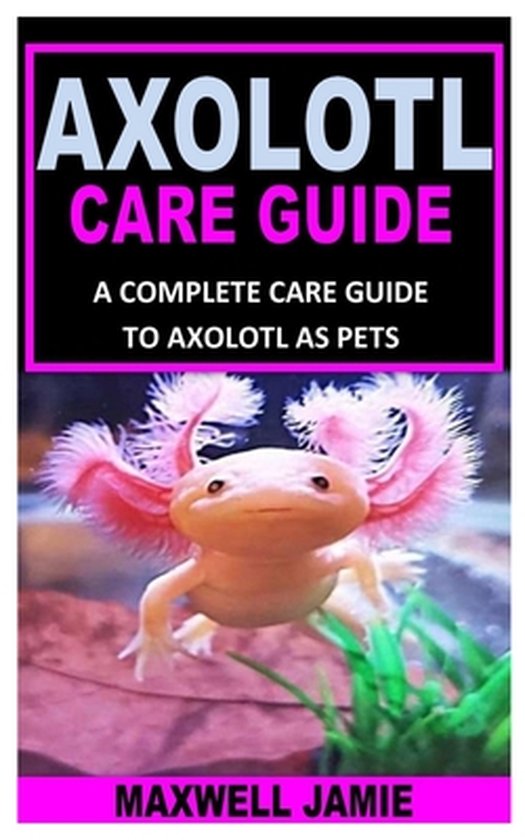 Axolotl Care Guide