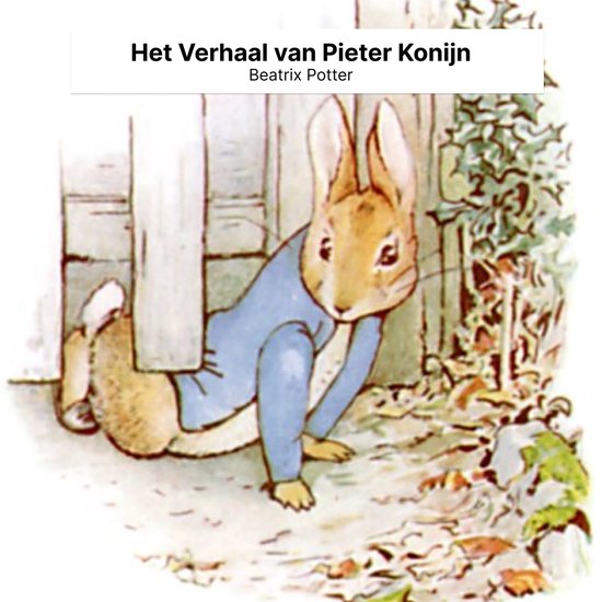 Het verhaal van Pieter Konijn