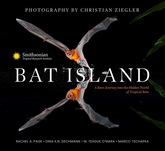 Bat Island