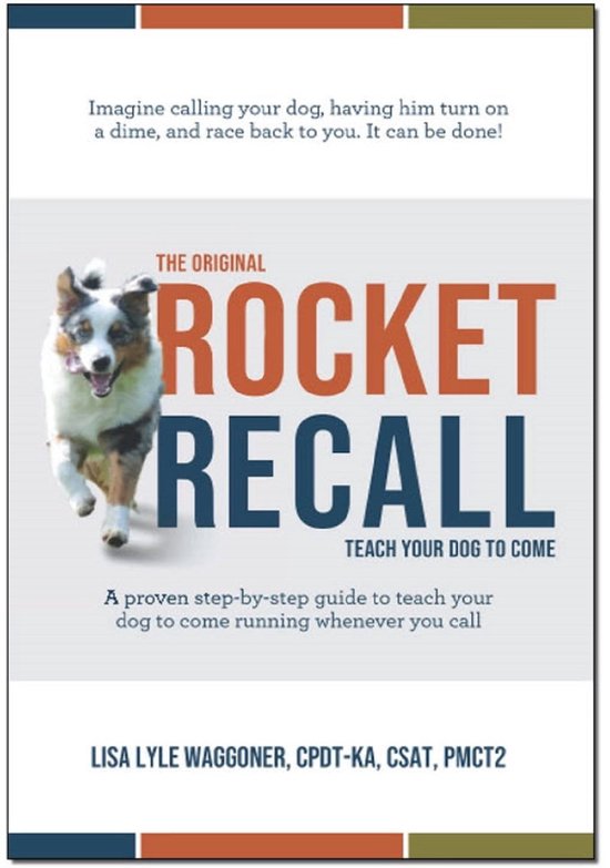 The Original Rocket Recall