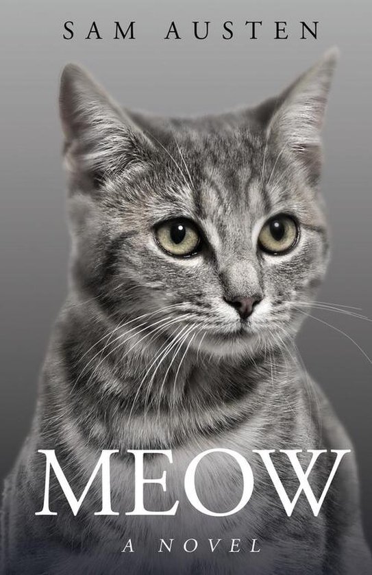 The Meow Library- Meow