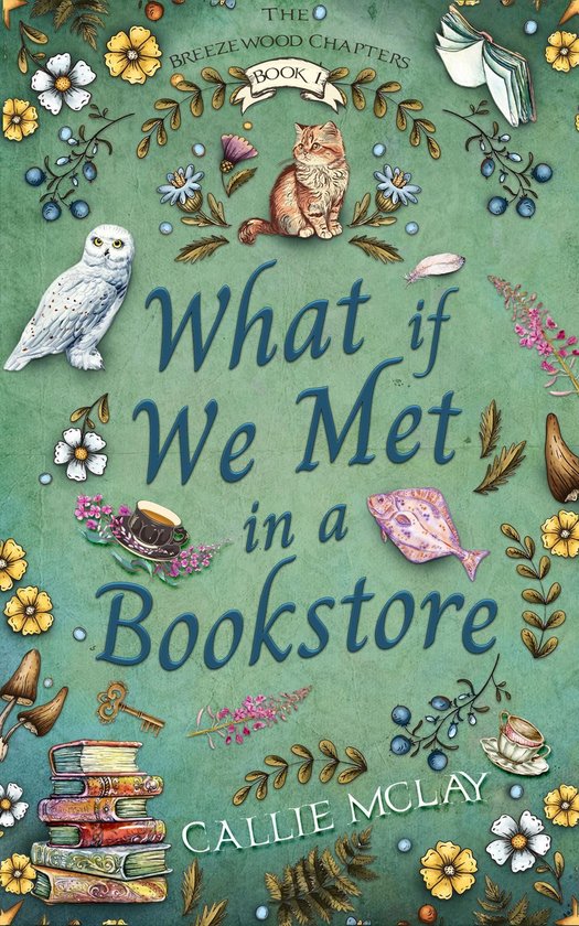 The Breezewood Chapters 1 - What If We Met In A Bookstore